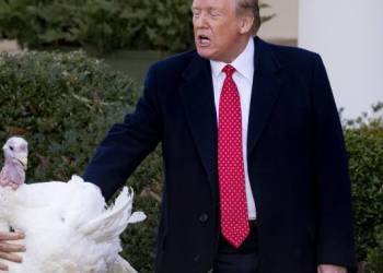Trump pardons turkeys, tells impeachment jokes at annual Thanksgiving event