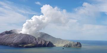 1,292 square feet of skin headed to New Zealand to treat volcano burn victims