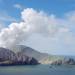 1,292 square feet of skin headed to New Zealand to treat volcano burn victims