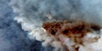 ‘My hero’: Horse guides Australian fleeing bushfires to safety at pub
