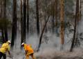 Canada prepared to provide further assistance to Australia if wanted: minister
