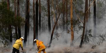 Australian PM defends government response to wildfires as cooler weather brings relief