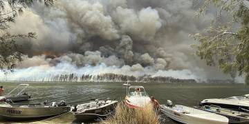 Australia-New Zealand cricketers, tennis players rally behind wildfire efforts