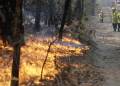 ‘If you can leave, you must leave’: Weather likely to worsen Australia wildfires