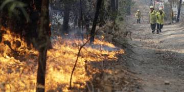 ‘If you can leave, you must leave’: Weather likely to worsen Australia wildfires