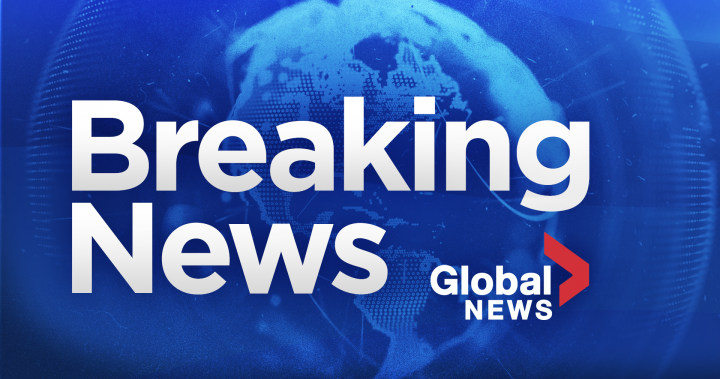 Multiple injured after shooting on Greyhound bus in California: police