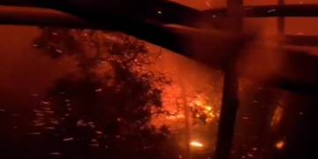 Australian father-daughter team battles flames, saving home from raging bush fire