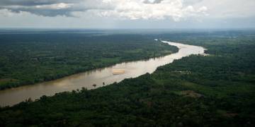 Family survives 34 days wandering lost in Peru jungle ‘eating berries’