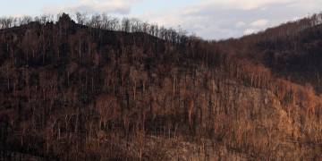 ‘All fires now contained’ in Australia’s most populous state, officials say