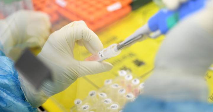Chinese lab denies it created coronavirus, but says ‘still no answers’ on origin