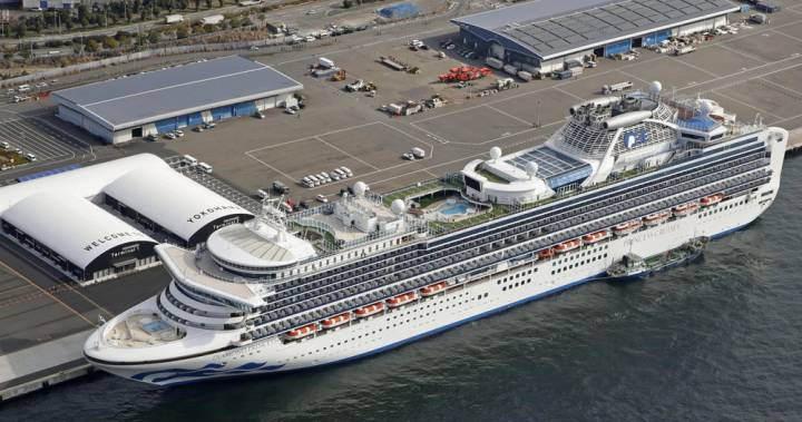 Free porn offered to cruise-ship passengers under coronavirus quarantine