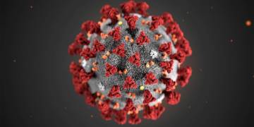 Edmonton Catholic, public schools cancel more field trips amid coronavirus outbreak
