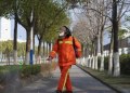 Hidden animal spreading deadly Chinese coronavirus: Lancet study