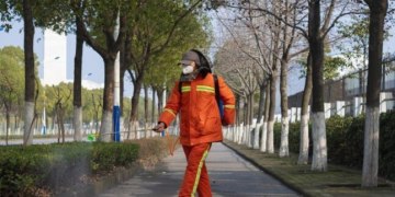 Hidden animal spreading deadly Chinese coronavirus: Lancet study