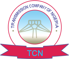 Nigerians must pay to enjoy stable electricity - TCN boss – Daily Trust
