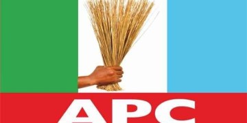 Chukwuma to replace Moghalu as APC auditor – Daily Trust