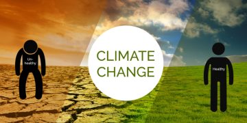 Birthdays, tree planting and global climate crisis – Daily Trust
