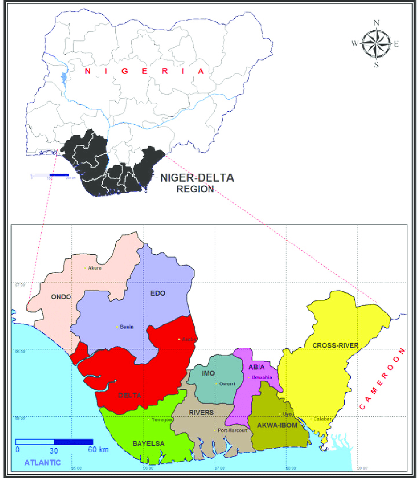 Understanding Niger Delta region problem – Daily Trust