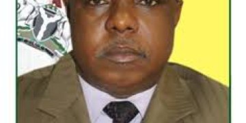 Diversification is key to improved income, sustainable growth - RMAFC – Daily Trust