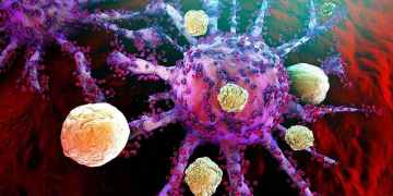 The immune cells inside tumours hint at a new way to treat cancers