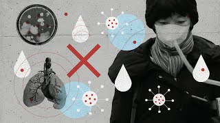 Coronavirus: a quick guide to the outbreak sweeping the world