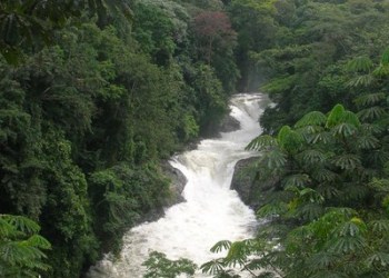 Journey: Thrilling Issues to See and Do When Visiting Calabar