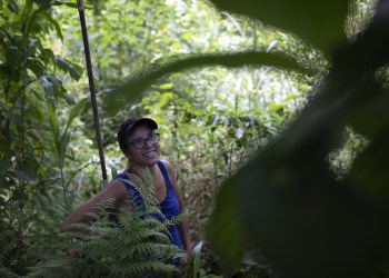 Rio Residents Try to Bring Green to a Concrete Jungle