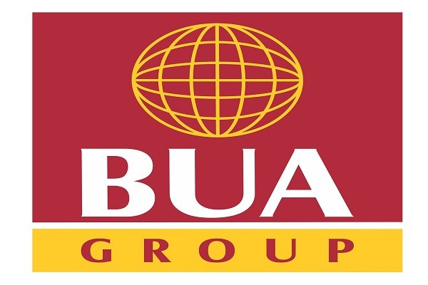 BUA Group, Africa CEO Forum seminar holds - The Nation Newspaper