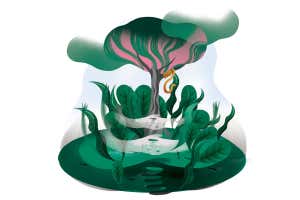 forest cartoon